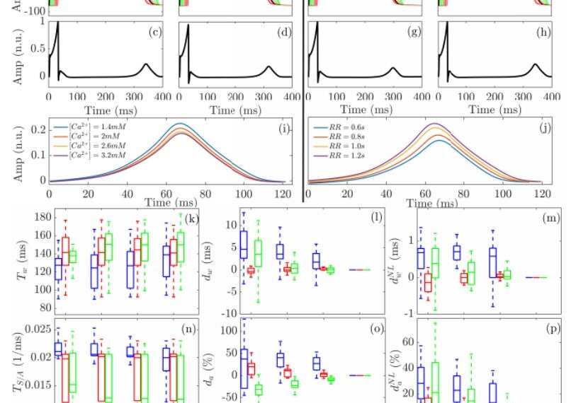 Characterization of T Wave Amplitude, Duration and Morphology Changes during Hemodialysis: Relationship with Serum Electrolyte Levels and Heart Rate