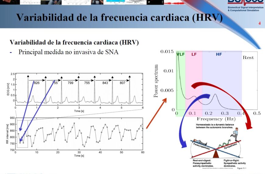 Los biomarcadores del sistema nervioso autónomo tienen un gran valor para el diagnóstico, pronóstico y seguimiento en cardiología