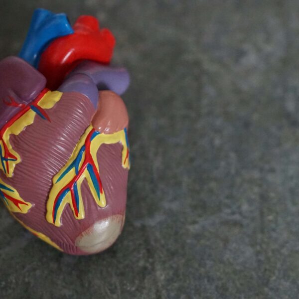 Un equipo de investigación de la Universidad de Zaragoza desarrolla un biomarcador sanguíneo que estima la edad biológica en relación a parámetros de salud cardiovascular