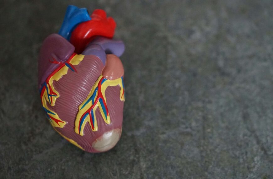 Un equipo de investigación de la Universidad de Zaragoza desarrolla un biomarcador sanguíneo que estima la edad biológica en relación a parámetros de salud cardiovascular