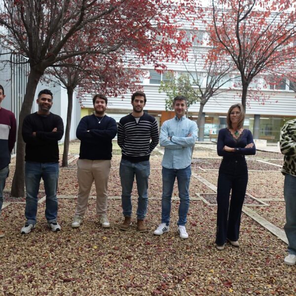 grupo web bsicos